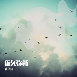 silk女性向天堂精品铃木一彻
