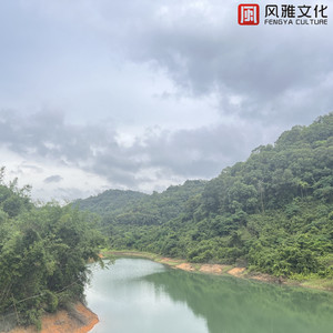 silk女性向天堂精品铃木一彻
