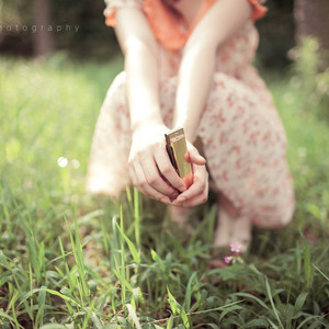 silk女性向天堂精品铃木一彻
